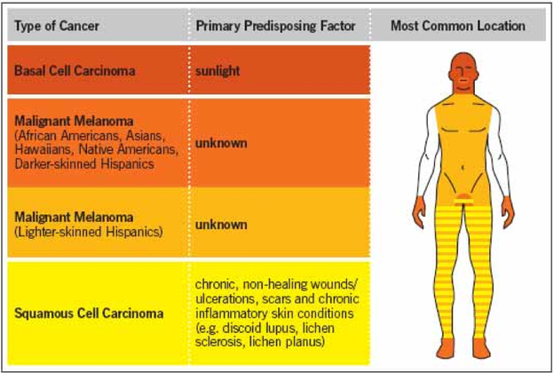 Skin Cancer Chart Pictures